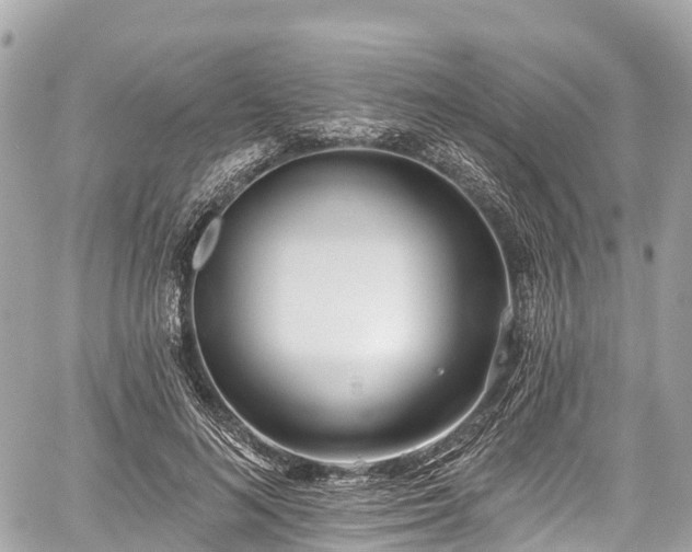 X0000059040692200510101010