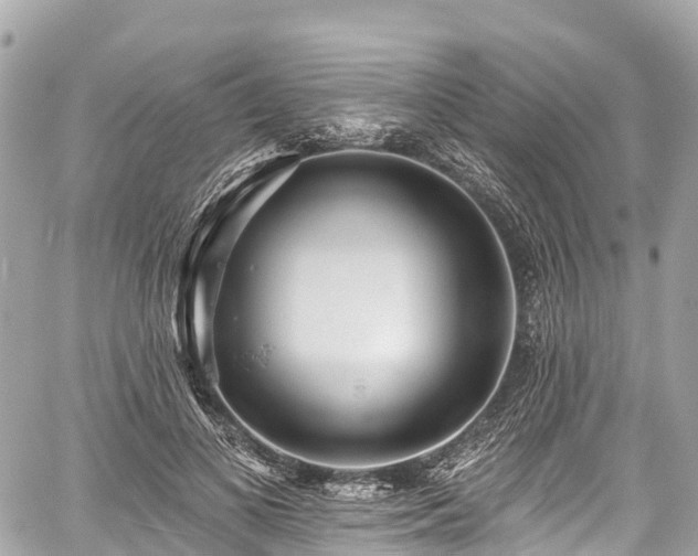 X0000059040693200510101010