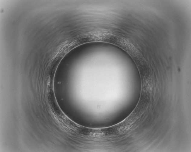 X0000059040694200510101010