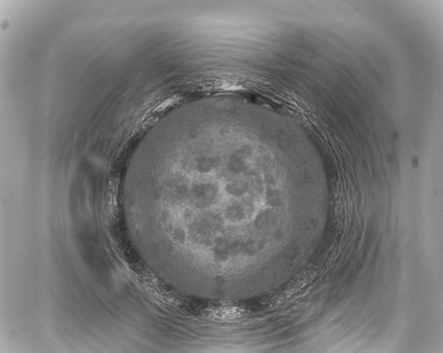 X0000059040695200510101010