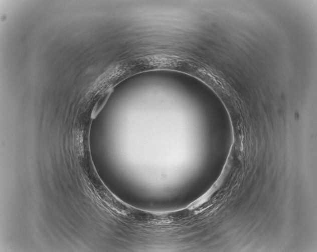 X0000059040696200510101010