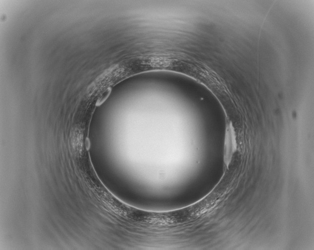 X0000059040697200510101010