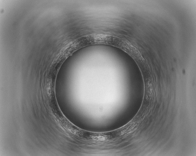 X0000059040698200510101010