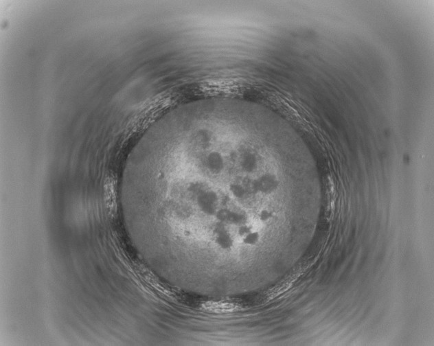 X0000059040699200510101010