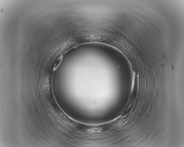 X0000059040700200510101010