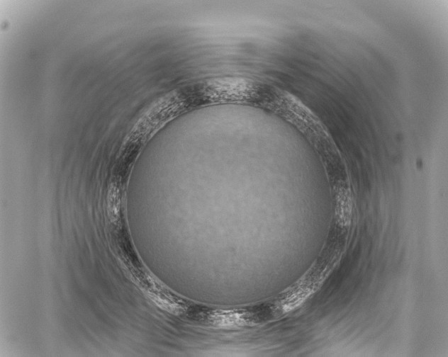 X0000059040701200510101010