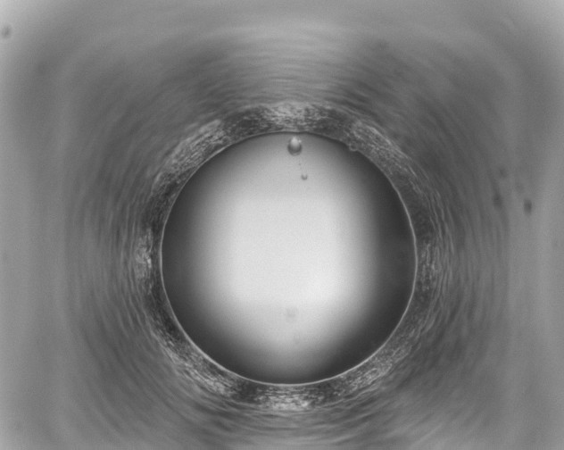 X0000059040702200510101010