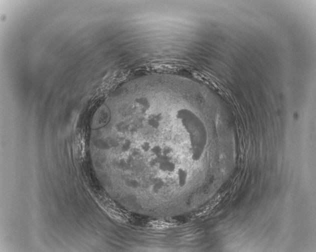 X0000059040703200510101010