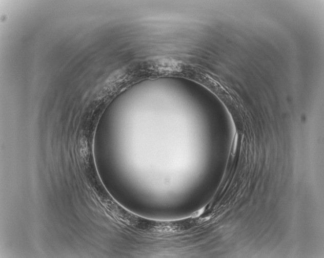 X0000059040704200510101010