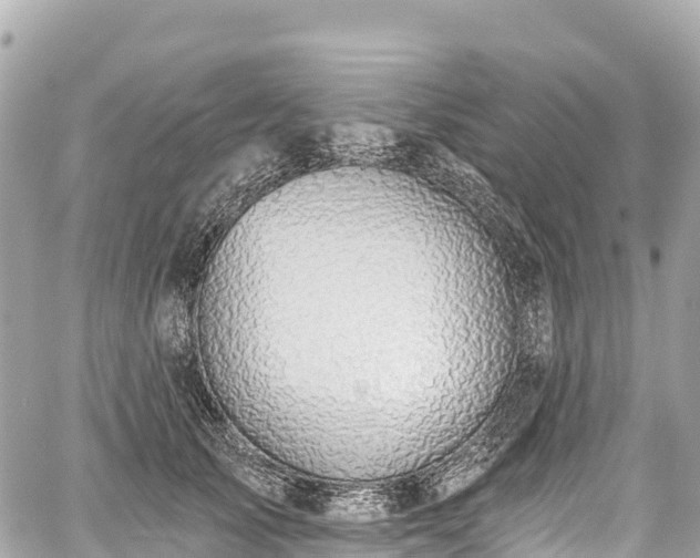 X0000059040705200510101010