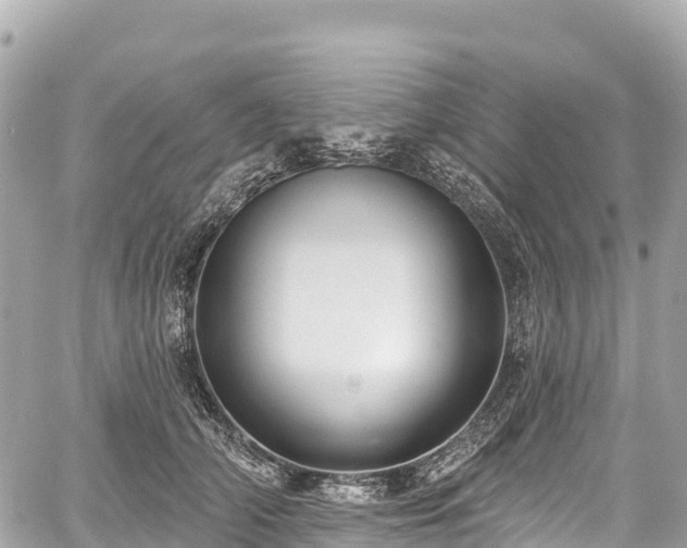 X0000059040706200510101010