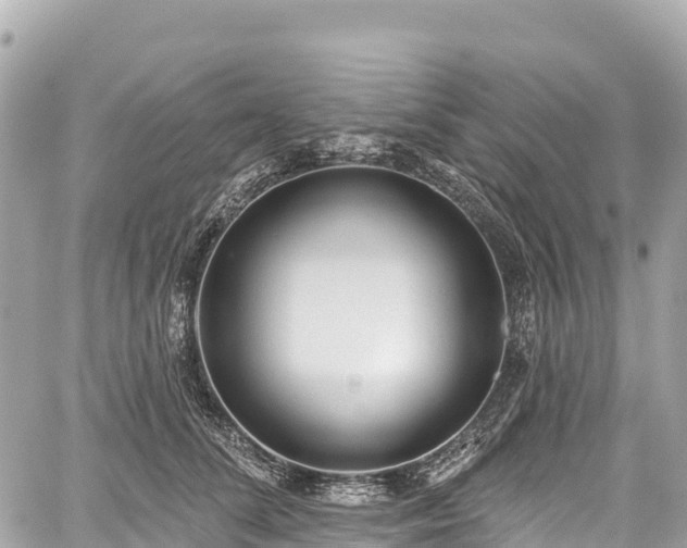 X0000059040708200510101010