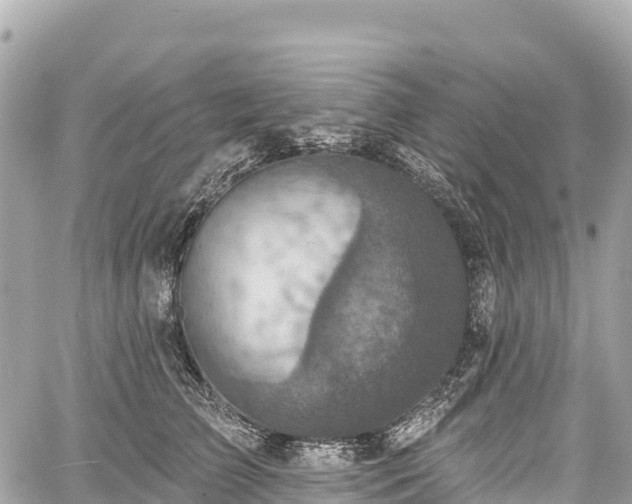 X0000059040709200510101010