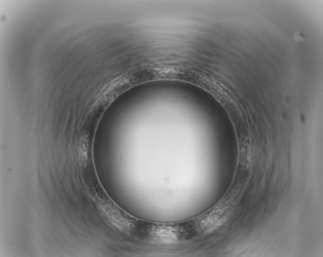 X0000059040710200510101010