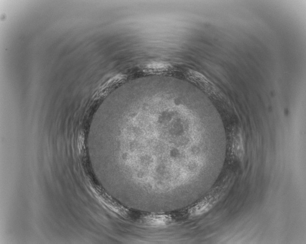 X0000059040711200510101010