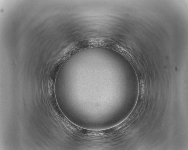 X0000059040712200510101010