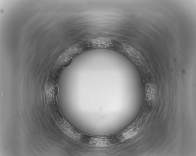 X0000059040713200510101010