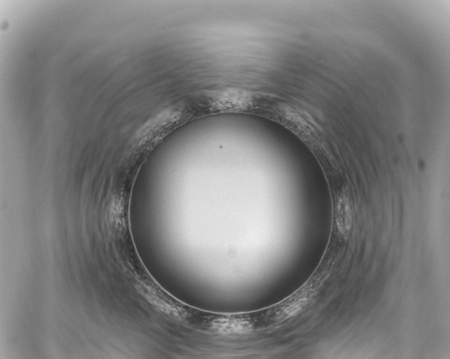 X0000059040714200510101010