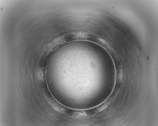 X0000059040715200510101010