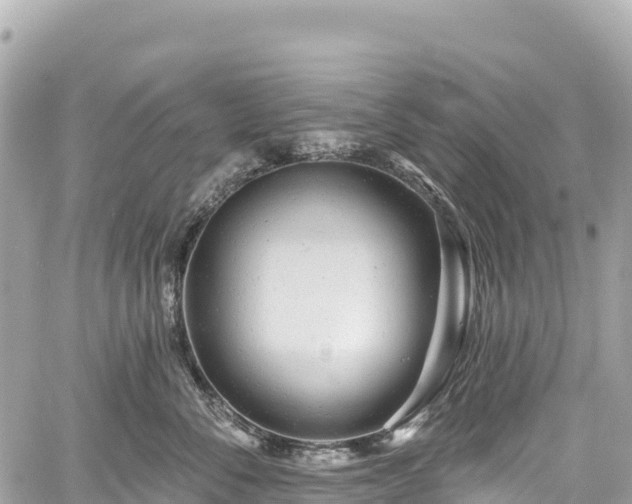 X0000059040716200510101010