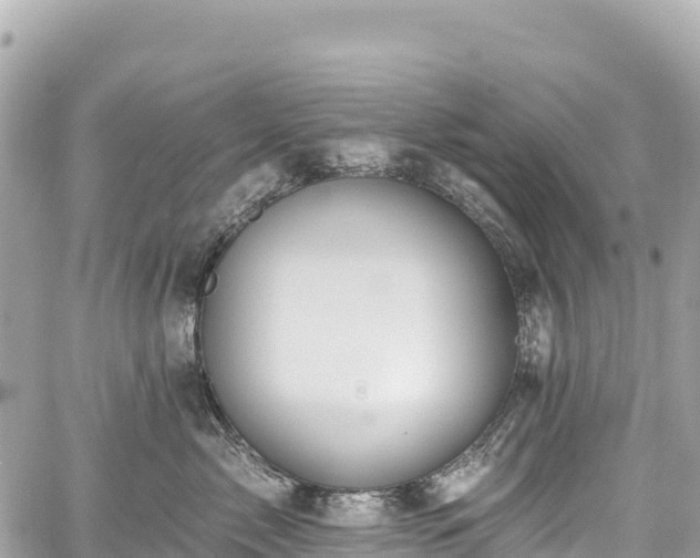 X0000059040717200510101010