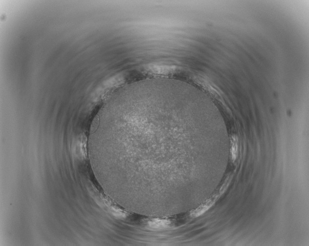 X0000059040718200510101010