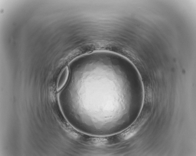 X0000059040719200510101010