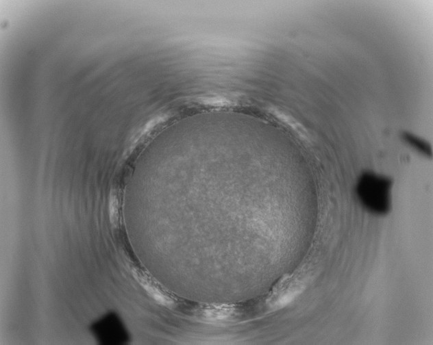 X0000059040720200510101010