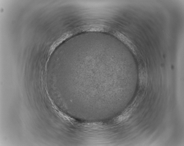 X0000059040721200510101009