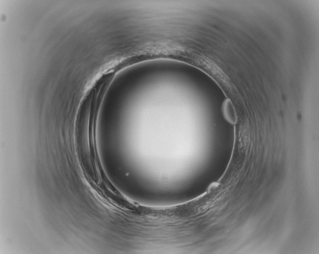 X0000059040722200510101009