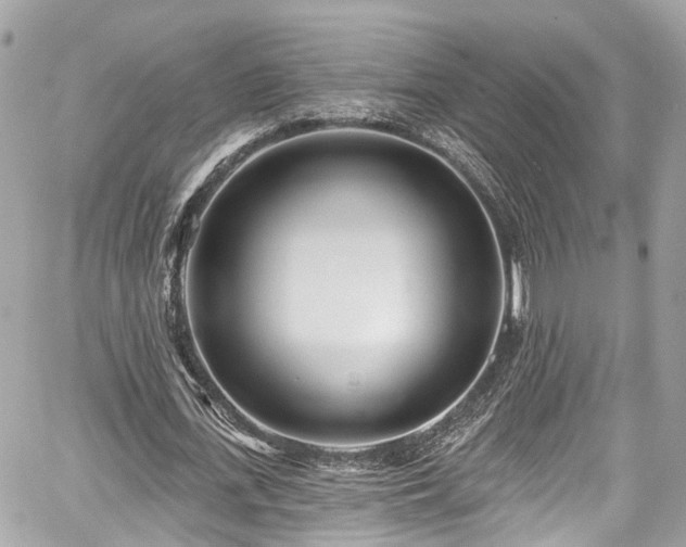 X0000059040723200510101009