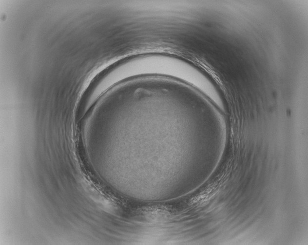 X0000059040724200510101009