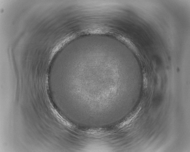 X0000059040725200510101009