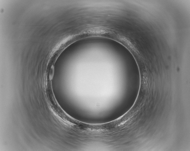 X0000059040726200510101009