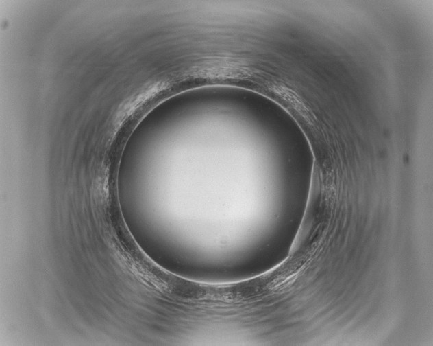 X0000059040727200510101009