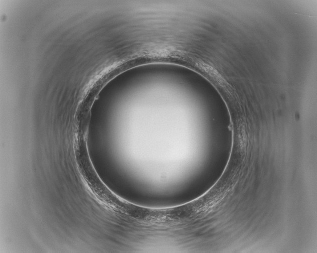 X0000059040728200510101009