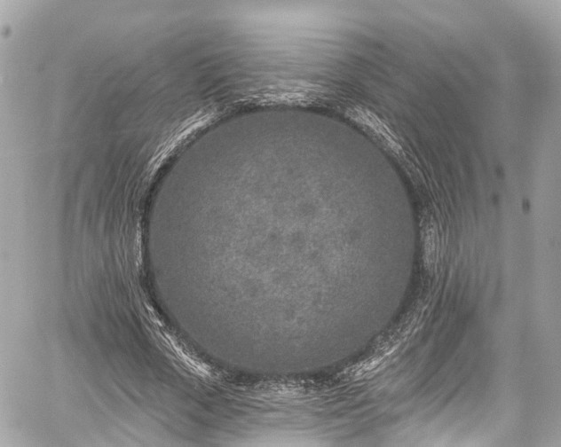 X0000059040729200510101009