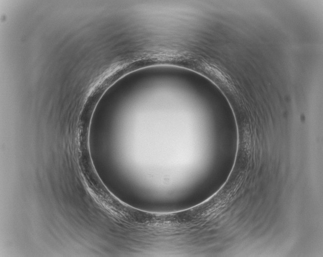 X0000059040730200510101009