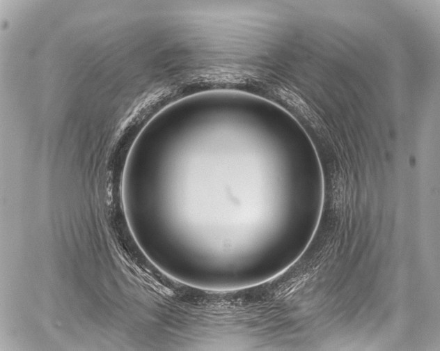 X0000059040731200510101009