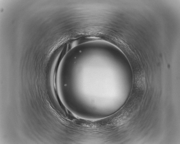 X0000059040735200510101009