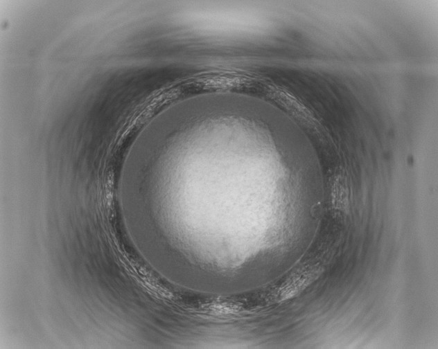 X0000059040737200510101009