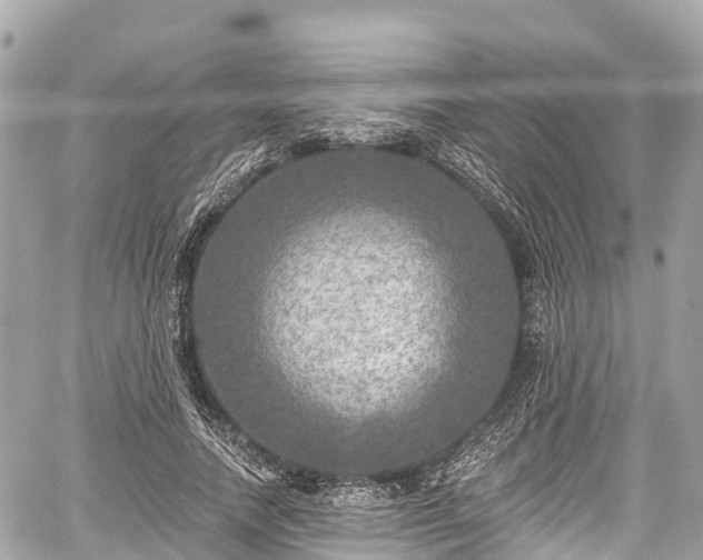 X0000059040738200510101009