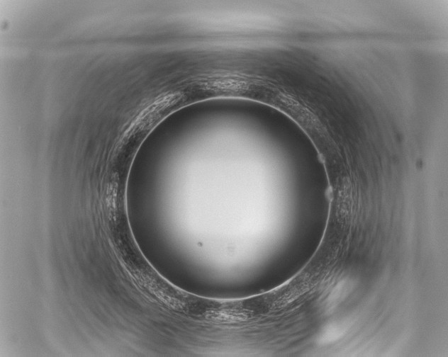 X0000059040739200510101009