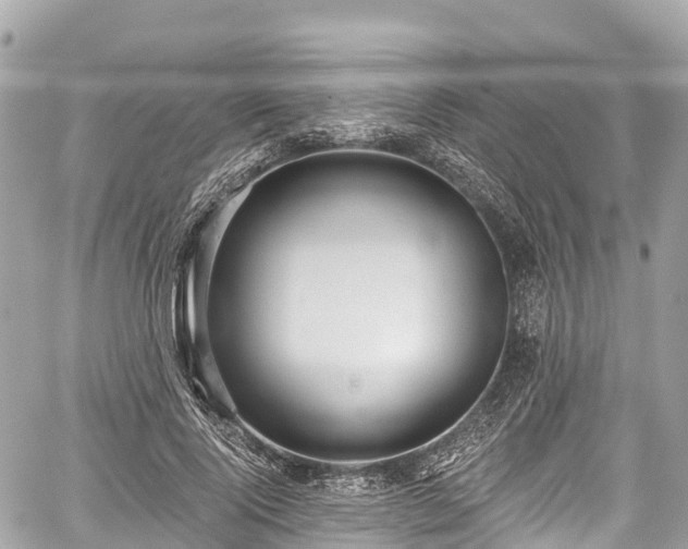 X0000059040740200510101009