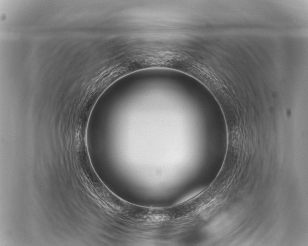 X0000059040741200510101009