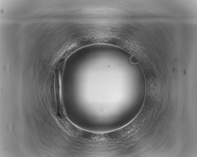 X0000059040742200510101009