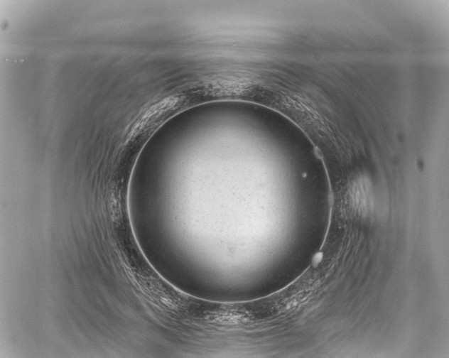 X0000059040743200510101009