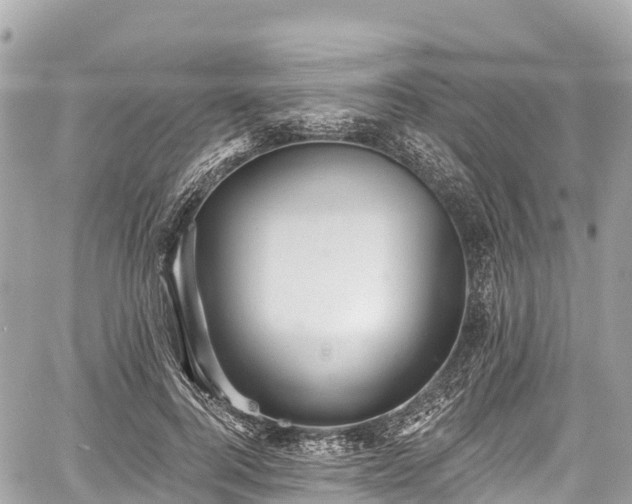 X0000059040744200510101009