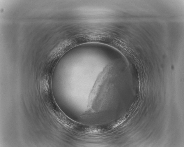 X0000059040746200510101009