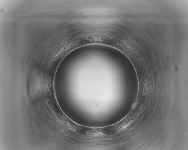 X0000059040747200510101009